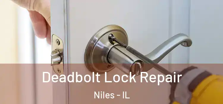 Deadbolt Lock Repair Niles - IL