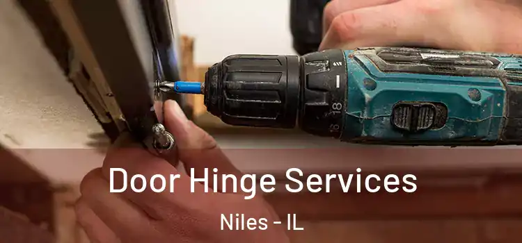 Door Hinge Services Niles - IL