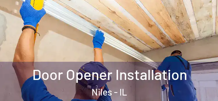 Door Opener Installation Niles - IL