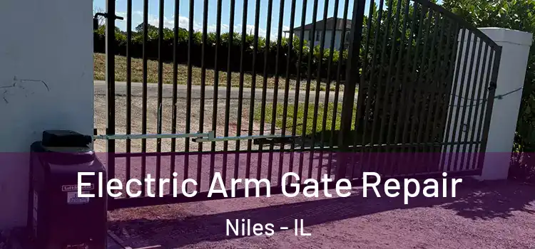  Electric Arm Gate Repair Niles - IL