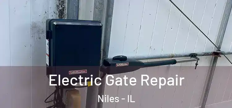  Electric Gate Repair Niles - IL