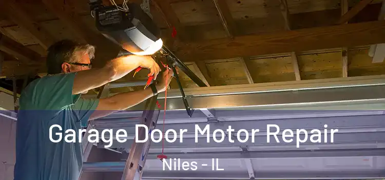  Garage Door Motor Repair Niles - IL