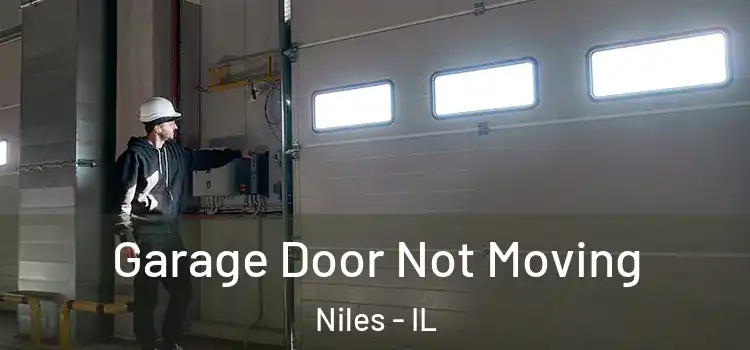  Garage Door Not Moving Niles - IL