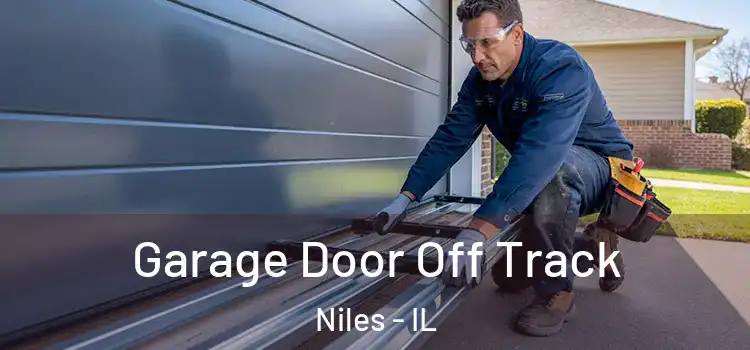  Garage Door Off Track Niles - IL