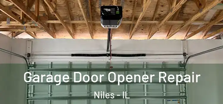  Garage Door Opener Repair Niles - IL