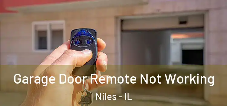  Garage Door Remote Not Working Niles - IL