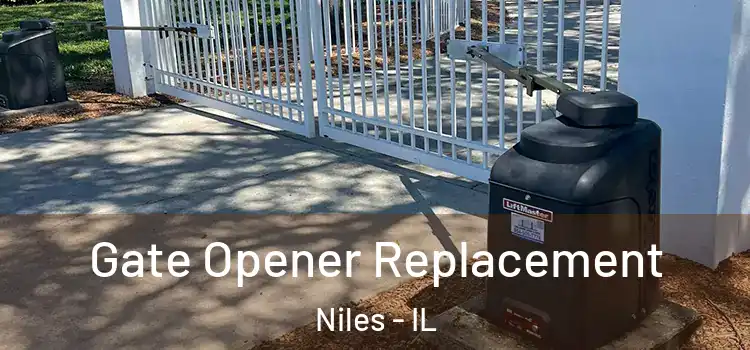 Gate Opener Replacement Niles - IL