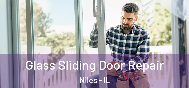  Glass Sliding Door Repair Niles - IL