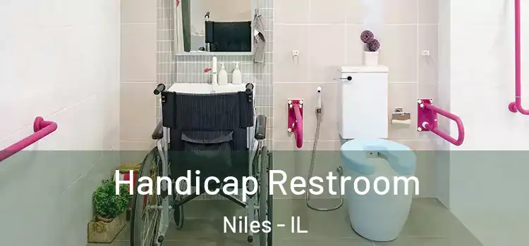 Handicap Restroom Niles - IL