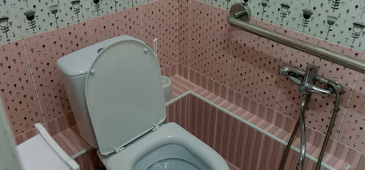 Meeting Diverse Needs With Accessible Restroom Solutions in Niles, IL