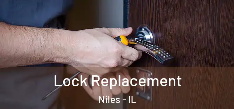 Lock Replacement Niles - IL