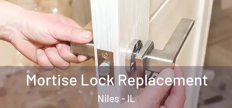 Mortise Lock Replacement Niles - IL