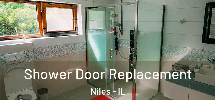 Shower Door Replacement Niles - IL