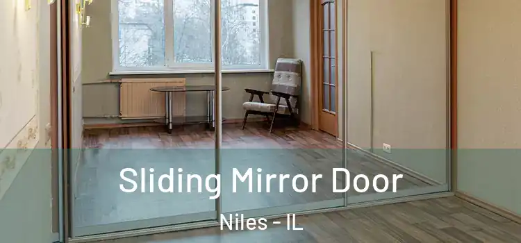  Sliding Mirror Door Niles - IL
